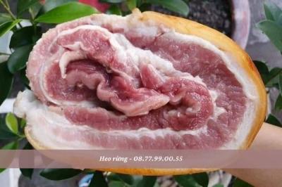 Bảng giá thịt heo rừng hôm nay (30/6/2024)